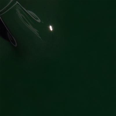 Colorbar Vegan Nail Lacquer-Earth Wise-081 8 ml - Nail Polish