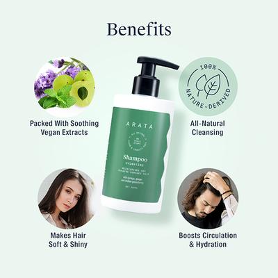 Arata Natural Hydrating Hair Shampoo With Ginkgo, Ginger & Indian Gooseberry for Damaged Hair 300 ml - Shampoos