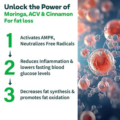 Oziva Apple Cider Vinegar Moringa Weight Loss, 3-In-1 Fat Oxidation Formula, No Sugar 15's - Apple Cider Vinegar - Acv