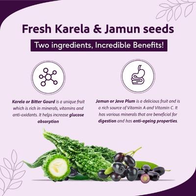 Sri Sri Tattva No Added Sugar Juice - Karela Jamun 1000 ml - Ayurvedic Juices