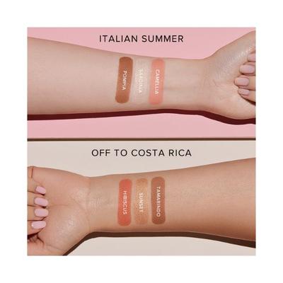 Anastasia Beverly hills Face Palette V1 - Italian Summer 17.6gm - Face Palettes