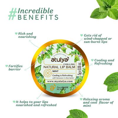 Atulya Mint Natural Lip Balm 5 gm - Lip Balms