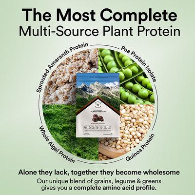 Wellbeing Nutrition Plant Protein Powder - Belgian Dark Chocolate 500 g - Protein Drink