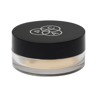 PAC Translucent Powder Mini 04 2 gm - Loose Powder