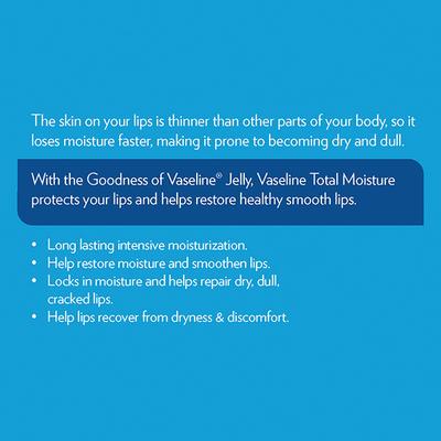 Vaseline Lip Care Total Moisture for chapped lips and dry skin 10 gm - Lip Balms