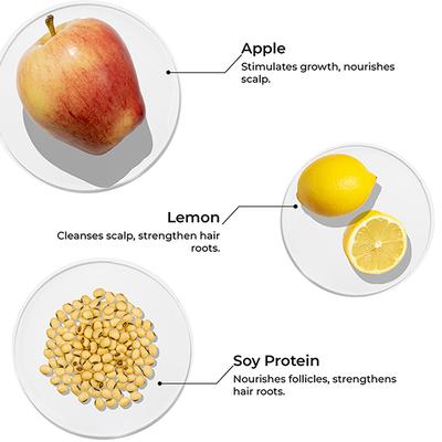 Brillare Hair Fall Control Shampoo Hair Fall 300ml - Shampoos