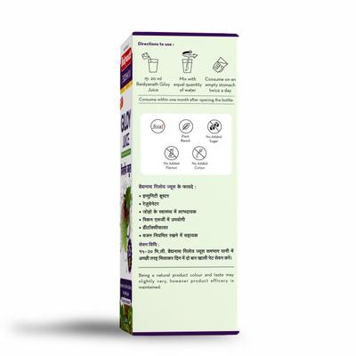 Baidyanath Giloy Juice 1000 ml - Ayurvedic Juices