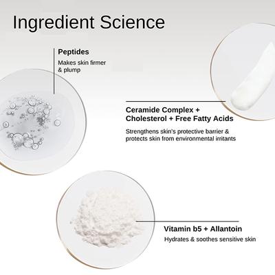 The Formularx Barrier Plus Peptide Ceramide Moisturizer for Dry, Normal, & Sensitive Skin 50 gm - Face Moisturizers