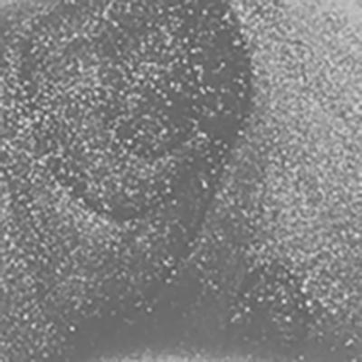 Faces Canada Ultime Pro Splash Nail Enamel Silver Frost 61 5ml - Nail Polish