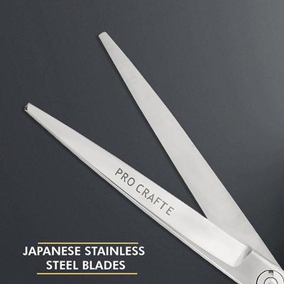 Vega Professional Pro Craft E 5.5' Silver Line Hairdressing Scissor (VPVSC-20) 1's - Grooming Kits
