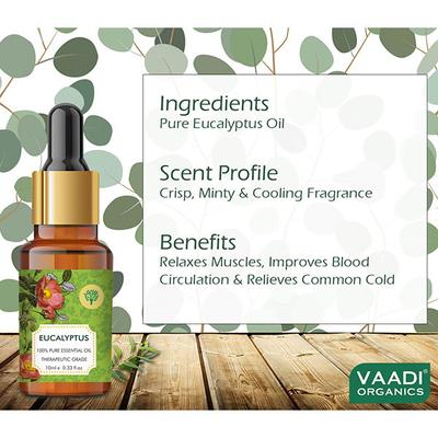 Eucalyptus Essential Oil - Prevents Hairfall, Acne, Soothing & Cool Fragrance - 100% Pure Therapeutic Grade 10 ml - Essential Oils