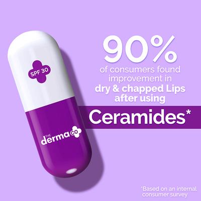 The Derma Co. 1% Ceramide Complex Lip Balm with Ceramides and Vitamin E for Dry and Chapped Lips 4 gm - Lip Balms