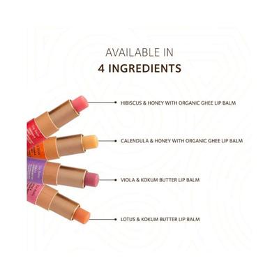 SoulTree Calendula & Honey with Organic Ghee & Cold Pressed Oils Lip Balm 3.5 gm - Lip Balms
