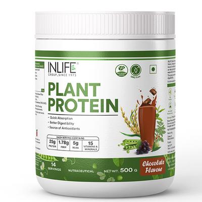 INLIFE Plant Protein Powder - Chocolate Flavour 500 gm - Protein Drink