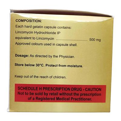 Lynx 500mg Capsule 15'S - Bacterial Infections-OAB