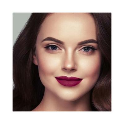 Lotus Makeup Ecostay Natural Matte Lip Color Petunia Nm08 4.2 gm - Lipsticks