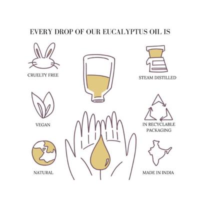 Essentia Extracts Eucalyptus Essential Oil 15 ml - Essential Oils