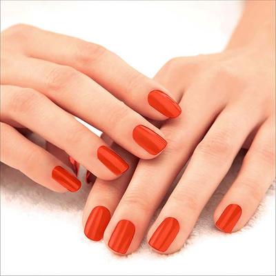 Lakme Absolute Gel Stylist Lobster Love 12 ml - Nail Polish