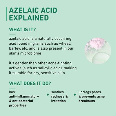 Plum Thinkderma 10% Azelaic Acid & Cica Face Serum 100% Vegan 30 ml - Face Serum