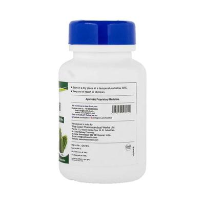 Healthvit Pilenil 60 Capsules For Bleeding & Non-bleeding Piles 60's - Calcium And Minerals