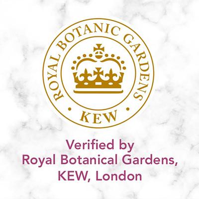 Herbal Essences White Strawberry and Sweet Mint Shampoo- No Paraben, No Colorants 240ml - Shampoos