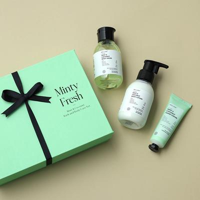 Brillare Minty Fresh Gift Box - Peppermint Face Wash, Peppermint Body Wash, Peppermint Face Scrub, Peppermint Body Scrub 900gm 1's - Bath Kits & Sets