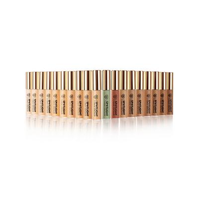 PAC Spotlight Liquid Concealer 09 Melon 15gm - Concealer