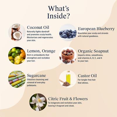 Arata Natural Bath & Hair Care Shower Power Gift Box Cleansing Shampoo (300 Ml), Body Wash (300 Ml), Conditioner (300 Ml) 900 ml - Lotions & Creams