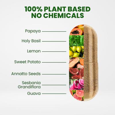 Himalayan Organics Plant Based Multivitamin Vegetarian capsule 60's - Multi-Vitamins