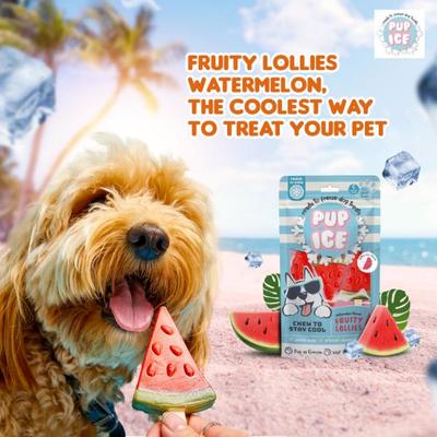 Pup Ice Fruity Lollies Watermelon 90 g - Petfood