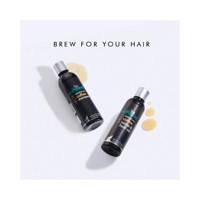mCaffeine Must have Coffee Hair Care Kit for Hair Fall Control & Hair Growth Shampoo & Hair Oil 450 ml - Shampoos