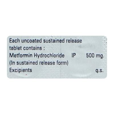 ENDOFORMIN SR 500 Tablet 15's - Diabetes-Ant