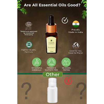 Organic Harvest Essential Oil - Rosemary 10 ml - Essential Oils