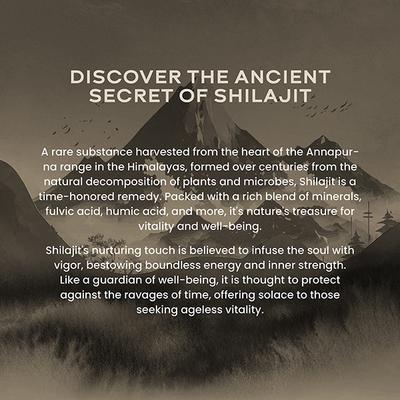 Wellbeing Nutrition Pure Himalayan Shilajit Gold 10 gm - Multi-Vitamins