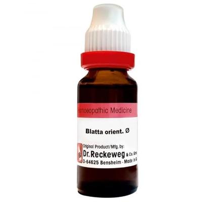 Dr. Reckeweg Blatta Orientalis Q Liquid 20 ml - Mother Tincture