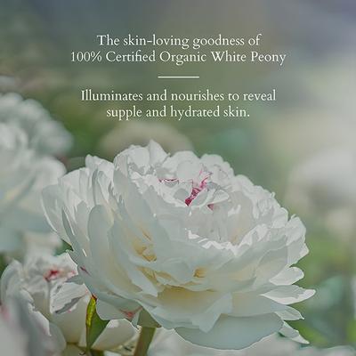 Lotus Organics Precious Brightening Creme 50 gm - Day Cream