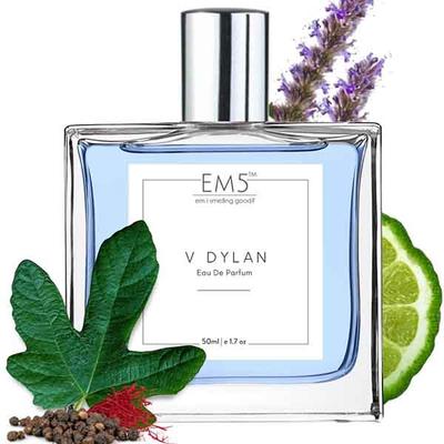 EM5 V Dylan Perfume for Men - Eau De Parfum Spray, Aromatic Woody Fresh 50 ml - Men Perfumes (Edt/Edp)
