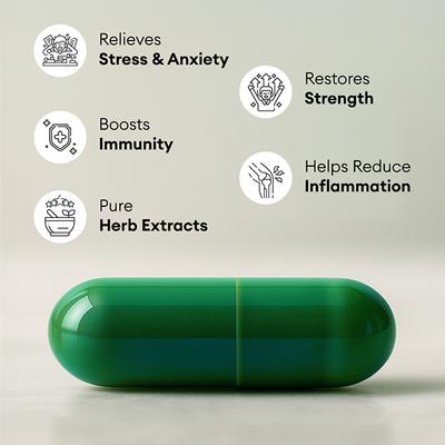 Pravek Ashwagandha Capsules 60's - Speciality Medicines