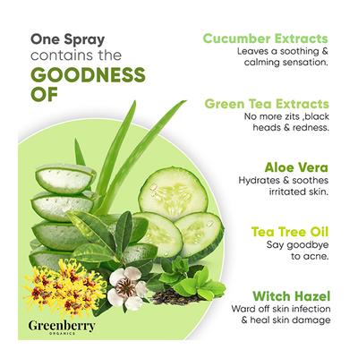 Greenberry Organics Skin Toner - Green Tea & Tea Tree 120 ml - Toners