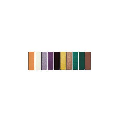 Wet N Wild Color Icon 10 Pan Palette Cosmic Collision 10 gm - Face Palettes