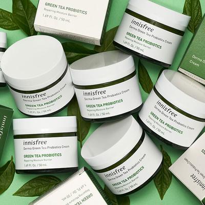 Innisfree Derma Green Tea Probiotics Cream 50 ml - Face Moisturizers