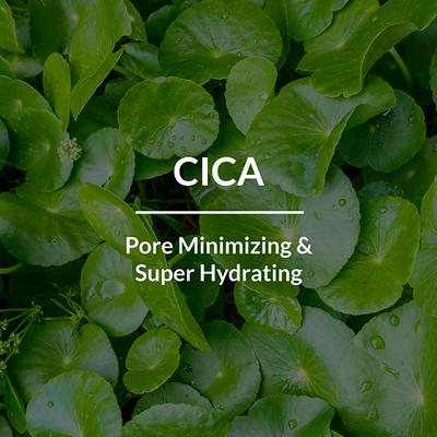 Lotus Botanicals CICA Pore Minimizing Face Toner, Enhances Skin Radiance, For All Skin Types 50 ml - Toners
