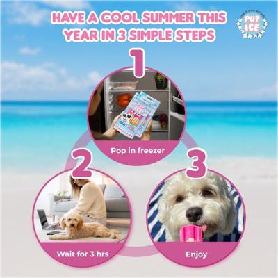 Pup Ice Rocket Lollies Yoghurt Strawberry & Banana Flavour 2's - Petfood