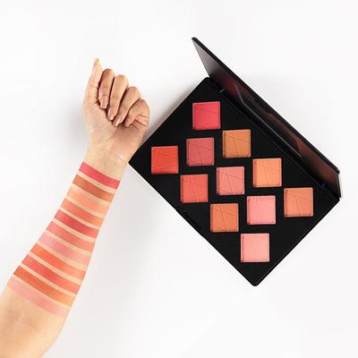 PAC Take Cover Blusher X11 3.2 gm - Blushes