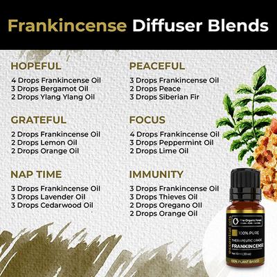 Organic Forest 100% VEGAN Frankincense Essential Oil 10 ml - Essential Oils