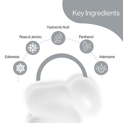 Shangpree AA Moisturizer 50 ml - Face Moisturizers