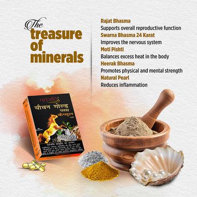 PATANJALI YOUVAN GOLD PLUS CAPSULE 10'S - Sexual Healthcare