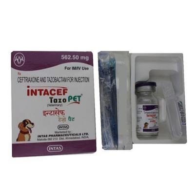 INTACEF TAZO PET (VET) 562.50mg Injection 1's - Veterinary-Pharma