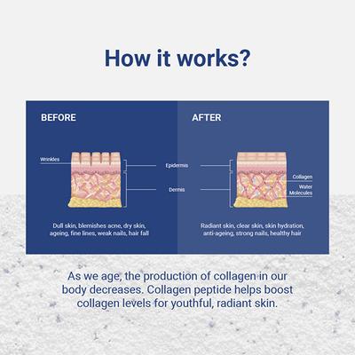 Nudge Wellness Collagen Peptide Hydrolyzed Collagen Peptide Powder Sourced From France Blueberry Flavour 210 gm - Hair & Skin