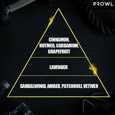 Prowl By Tiger Shroff, Deodorant Perfume Body Spray - Core 200 ml - Men Deodorants/Roll-Ons